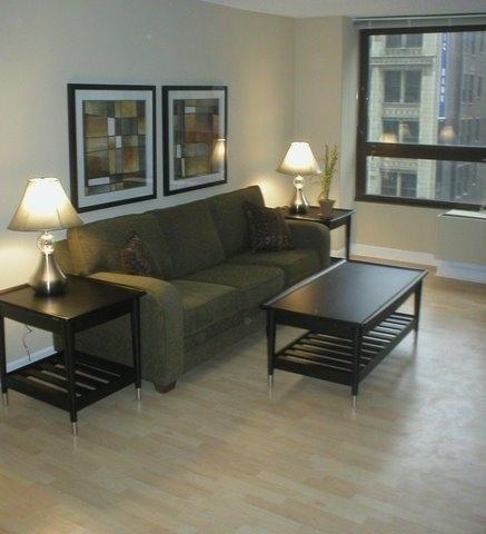 Aparthotel Oakwood At Millennium Park Plaza Chicago Esterno foto